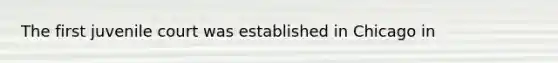 The first juvenile court was established in Chicago in