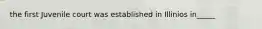 the first Juvenile court was established in Illinios in_____
