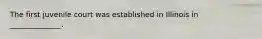 The first juvenile court was established in Illinois in ______________.