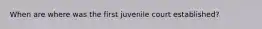 When are where was the first juvenile court established?