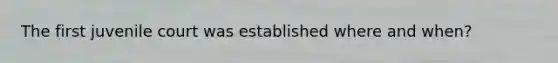 The first juvenile court was established where and when?