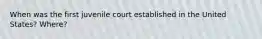 When was the first juvenile court established in the United States? Where?