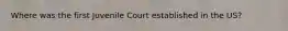 Where was the first Juvenile Court established in the US?