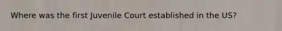 Where was the first Juvenile Court established in the US?