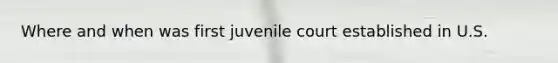 Where and when was first juvenile court established in U.S.