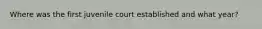 Where was the first juvenile court established and what year?