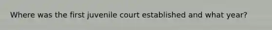 Where was the first juvenile court established and what year?