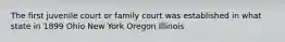 The first juvenile court or family court was established in what state in 1899 Ohio New York Oregon Illinois