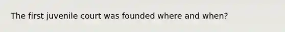 The first juvenile court was founded where and when?