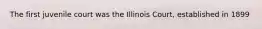 The first juvenile court was the Illinois Court, established in 1899