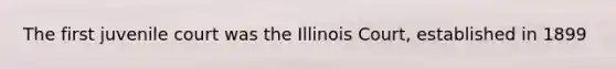 The first juvenile court was the Illinois Court, established in 1899