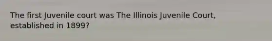 The first Juvenile court was The Illinois Juvenile Court, established in 1899?