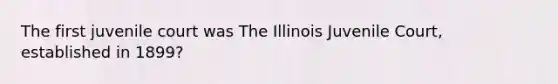 The first juvenile court was The Illinois Juvenile Court, established in 1899?