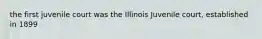 the first juvenile court was the Illinois Juvenile court, established in 1899