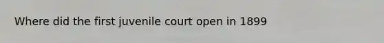 Where did the first juvenile court open in 1899