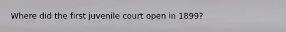 Where did the first juvenile court open in 1899?