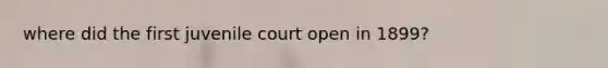 where did the first juvenile court open in 1899?