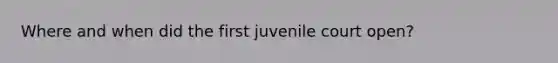 Where and when did the first juvenile court open?