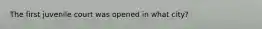 The first juvenile court was opened in what city?