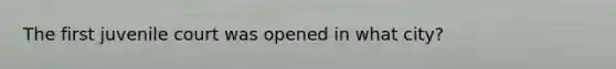The first juvenile court was opened in what city?