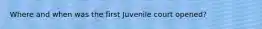 Where and when was the first Juvenile court opened?