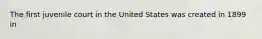 The first juvenile court in the United States was created in 1899 in