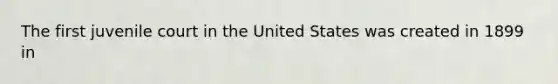 The first juvenile court in the United States was created in 1899 in