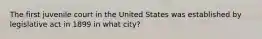 The first juvenile court in the United States was established by legislative act in 1899 in what city?