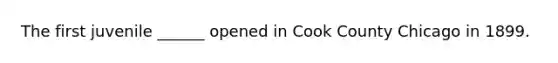 The first juvenile ______ opened in Cook County Chicago in 1899.