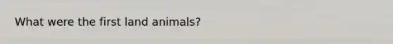 What were the first land animals?