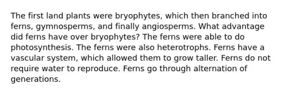 The first land plants were bryophytes, which then branched into ferns, gymnosperms, and finally angiosperms. What advantage did ferns have over bryophytes? The ferns were able to do photosynthesis. The ferns were also heterotrophs. Ferns have a vascular system, which allowed them to grow taller. Ferns do not require water to reproduce. Ferns go through alternation of generations.