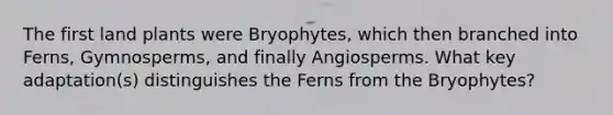 The first land plants were Bryophytes, which then branched into Ferns, Gymnosperms, and finally Angiosperms. What key adaptation(s) distinguishes the Ferns from the Bryophytes?