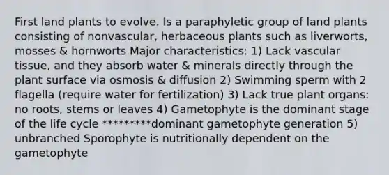 First land plants to evolve. Is a paraphyletic group of land plants consisting of nonvascular, herbaceous plants such as liverworts, mosses & hornworts Major characteristics: 1) Lack vascular tissue, and they absorb water & minerals directly through the plant surface via osmosis & diffusion 2) Swimming sperm with 2 flagella (require water for fertilization) 3) Lack true plant organs: no roots, stems or leaves 4) Gametophyte is the dominant stage of the life cycle *********dominant gametophyte generation 5) unbranched Sporophyte is nutritionally dependent on the gametophyte