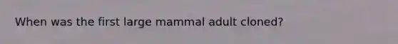 When was the first large mammal adult cloned?