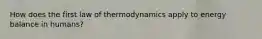 How does the first law of thermodynamics apply to energy balance in humans?