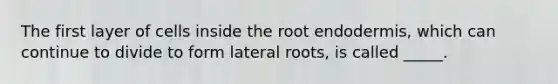 The first layer of cells inside the root endodermis, which can continue to divide to form lateral roots, is called _____.