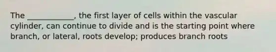 The ____________, the first layer of cells within the vascular cylinder, can continue to divide and is the starting point where branch, or lateral, roots develop; produces branch roots