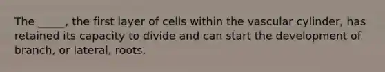 The _____, the first layer of cells within the vascular cylinder, has retained its capacity to divide and can start the development of branch, or lateral, roots.