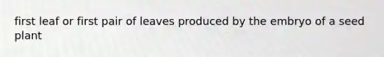 first leaf or first pair of leaves produced by the embryo of a seed plant