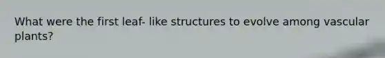 What were the first leaf- like structures to evolve among vascular plants?