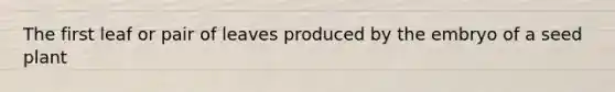 The first leaf or pair of leaves produced by the embryo of a seed plant