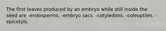 The first leaves produced by an embryo while still inside the seed are -endosperms. -embryo sacs. -cotyledons. -coleoptiles. -epicotyls.