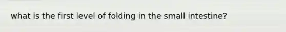 what is the first level of folding in <a href='https://www.questionai.com/knowledge/kt623fh5xn-the-small-intestine' class='anchor-knowledge'>the small intestine</a>?