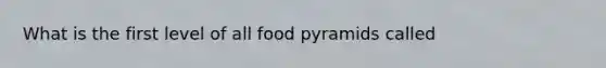 What is the first level of all food pyramids called