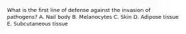 What is the first line of defense against the invasion of pathogens? A. Nail body B. Melanocytes C. Skin D. Adipose tissue E. Subcutaneous tissue