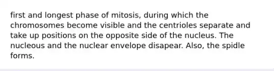 first and longest phase of mitosis, during which the chromosomes become visible and the centrioles separate and take up positions on the opposite side of the nucleus. The nucleous and the nuclear envelope disapear. Also, the spidle forms.