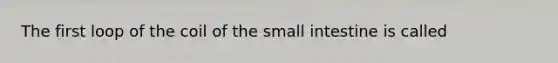 The first loop of the coil of the small intestine is called