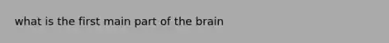 what is the first main part of the brain