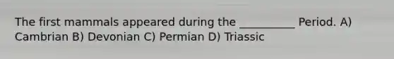The first mammals appeared during the __________ Period. A) Cambrian B) Devonian C) Permian D) Triassic