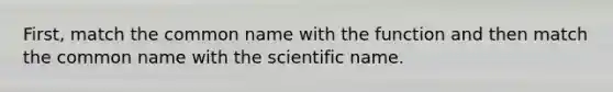 First, match the common name with the function and then match the common name with the scientific name.